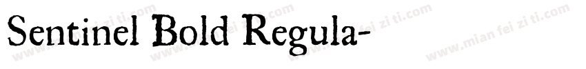 Sentinel Bold Regula字体转换